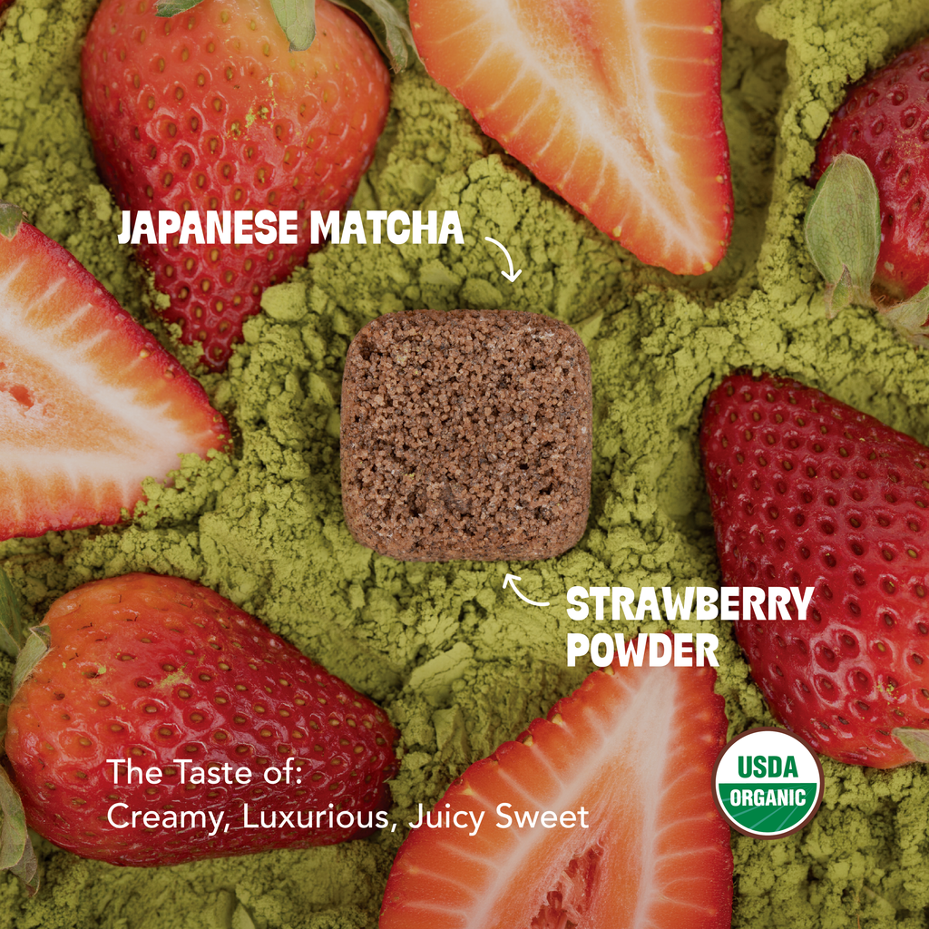 Matcha Lovers Trio Bundle